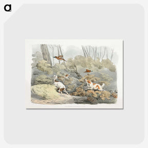 1-34_Sporting-Sketches_postcard