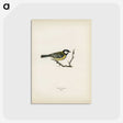 1-34_Svenska-Faglar_postcard