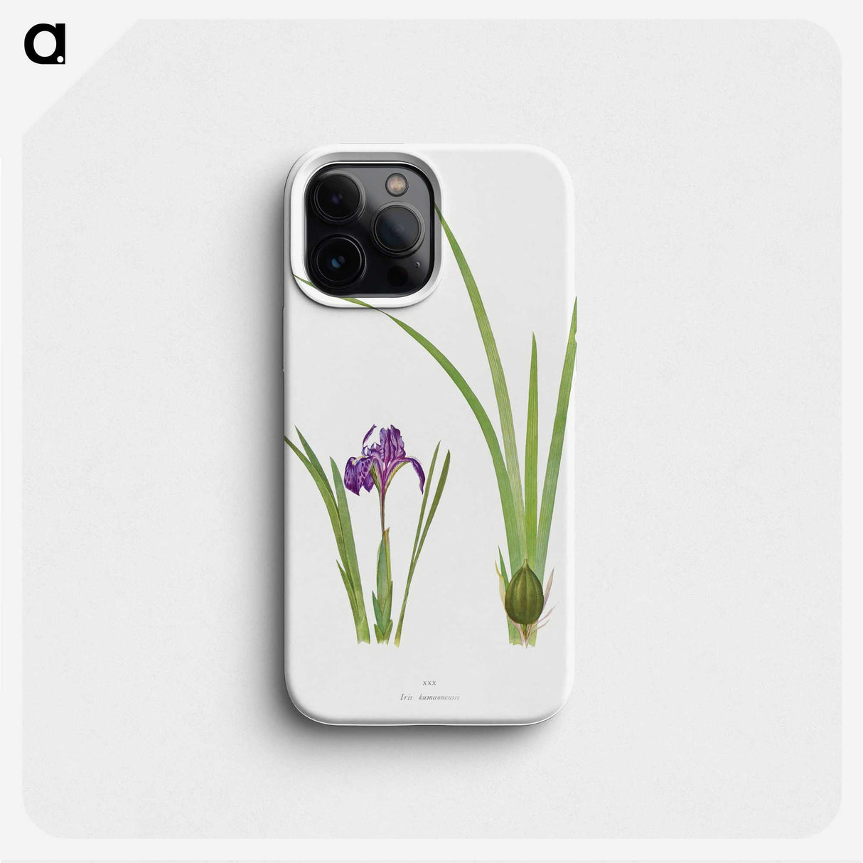 1-34_The-Genus-Iris_phone