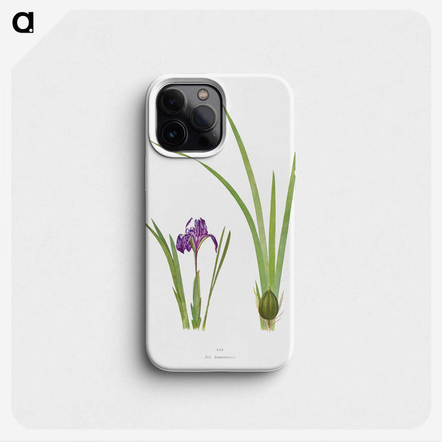 1-34_The-Genus-Iris_phone