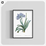 1-34_The-Lilies_blk-crop