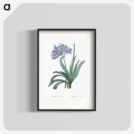 1-34_The-Lilies_blk