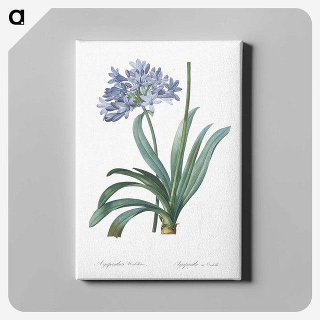1-34_The-Lilies_canvas