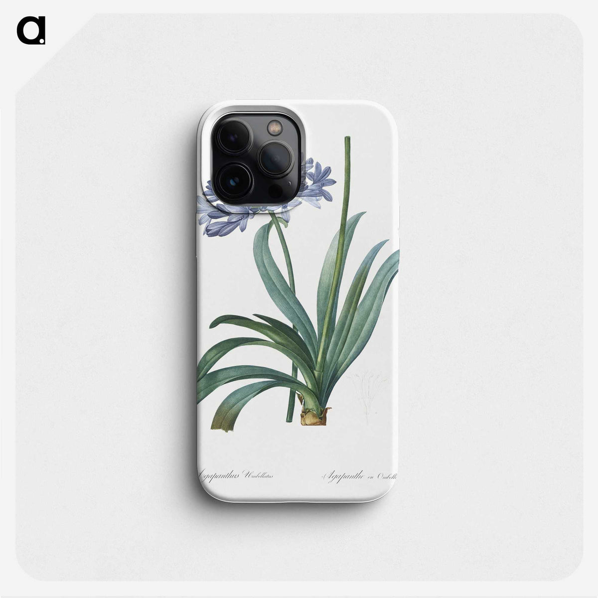 1-34_The-Lilies_phone