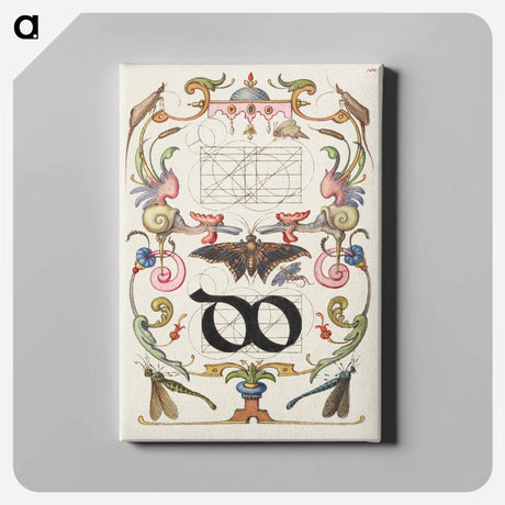 アートパネル-Guide for Constructing the Ligature do from Mira Calligraphiae Monumenta
 - 書道のお手本 Canvas.