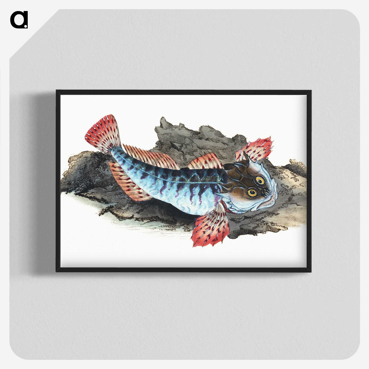 1-34_The-Natural-History-of-British-Fishes_blk-crop