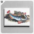 1-34_The-Natural-History-of-British-Fishes_canvas