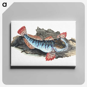 1-34_The-Natural-History-of-British-Fishes_canvas