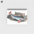 1-34_The-Natural-History-of-British-Fishes_memo