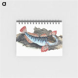 1-34_The-Natural-History-of-British-Fishes_memo