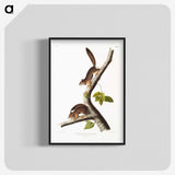 1-34_The-Viviparous-Quadrupeds_blk-crop