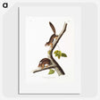 1-34_The-Viviparous-Quadrupeds_picture