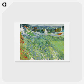 アートポストカード-Vineyards at Auvers - フィンセント ファン ゴッホ Postcard.
