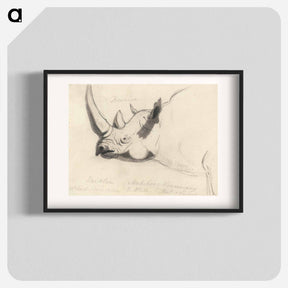 アートポスター-A Rhinoceros: Head and Shoulders, Facing Left
 - イェール大学アートギャラリー Poster.