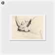 アートポストカード-A Rhinoceros: Head and Shoulders, Facing Left
 - イェール大学アートギャラリー Postcard.