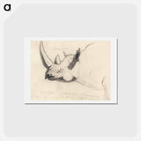 アートポストカード-A Rhinoceros: Head and Shoulders, Facing Left
 - イェール大学アートギャラリー Postcard.