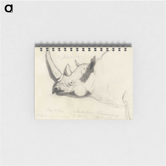 1-34_Yale-University-Art-Gallery_memo