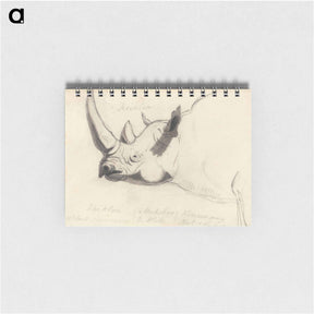 アートメモ帳-A Rhinoceros: Head and Shoulders, Facing Left
 - イェール大学アートギャラリー Memo.