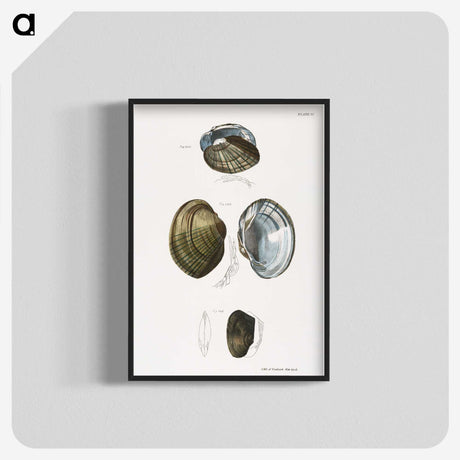 1-34_Zoology-of-New-York_blk-crop
