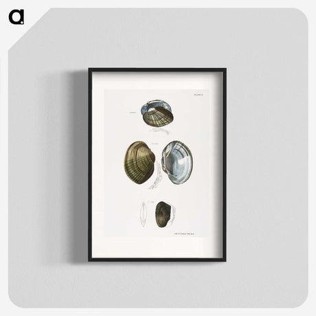 1-34_Zoology-of-New-York_blk