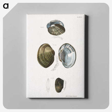 1-34_Zoology-of-New-York_canvas