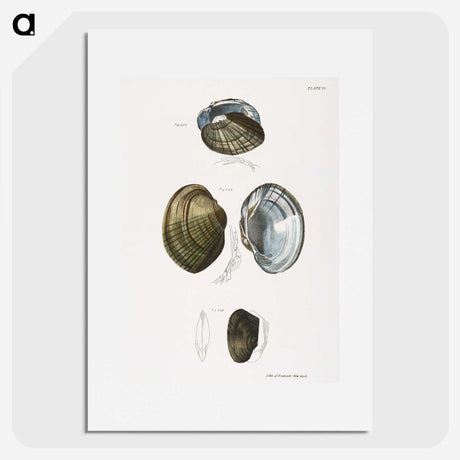 1-34_Zoology-of-New-York_picture