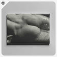 1-35_Alfred-Stieglitz_canvas
