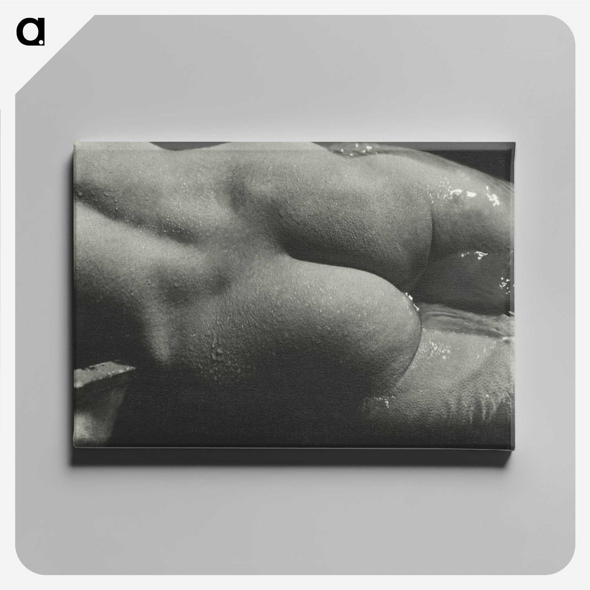 1-35_Alfred-Stieglitz_canvas