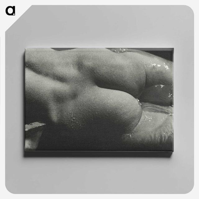 1-35_Alfred-Stieglitz_canvas