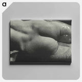 Rebecca Salsbury Strand - アルフレッド スティーグリッツ Canvas.