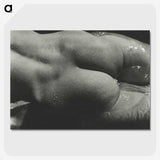 1-35_Alfred-Stieglitz_picture-crop