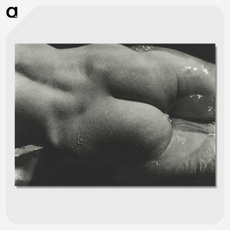 1-35_Alfred-Stieglitz_picture-crop