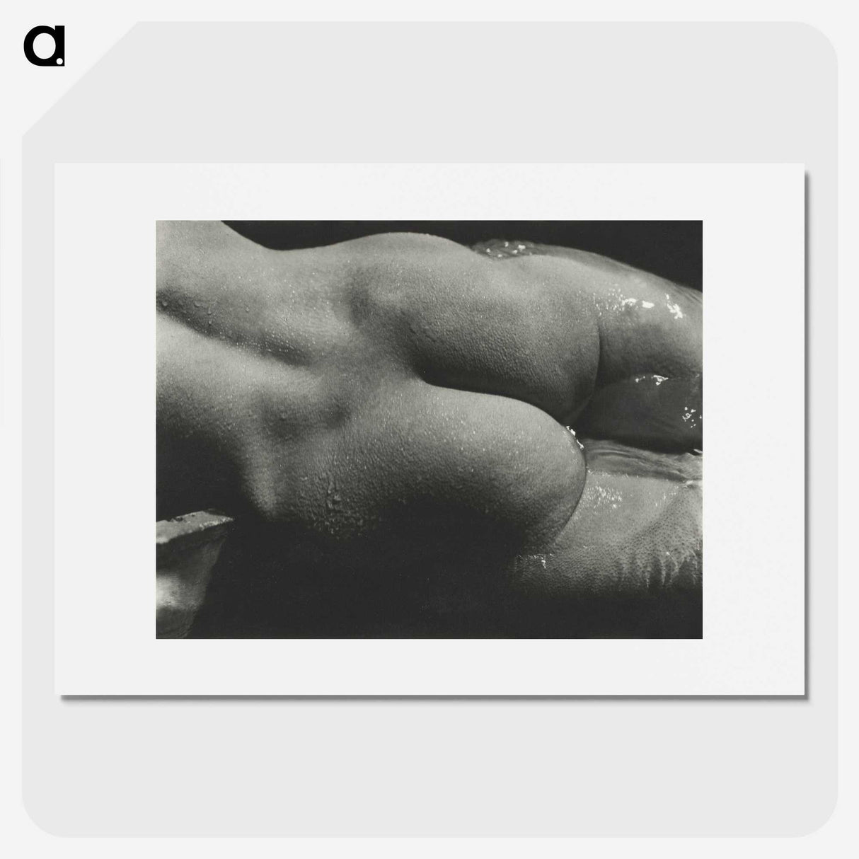 1-35_Alfred-Stieglitz_picture