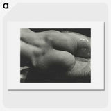 1-35_Alfred-Stieglitz_picture