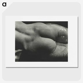 1-35_Alfred-Stieglitz_picture