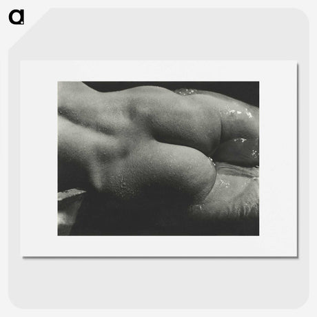 1-35_Alfred-Stieglitz_picture