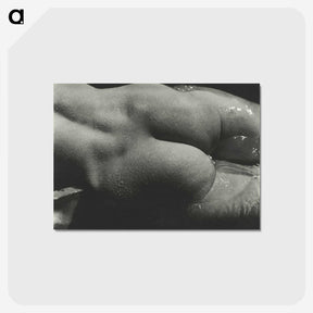 1-35_Alfred-Stieglitz_postcard