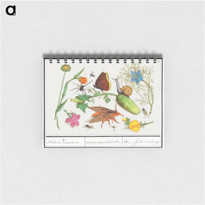 アートメモ帳-Natural History Ensemble, no. 3 - アンセルムス ボエティウス デ ブート Memo.