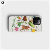 Natural History Ensemble, no. 3 - アンセルムス ボエティウス デ ブート Phone Case.