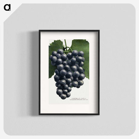 1-35_Botanical-Specimen-Plates_blk