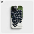 1-35_Botanical-Specimen-Plates_phone
