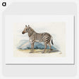 1-35_Charles-Hamilton-Smith_picture