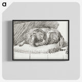 1-35_Cornelis-Ploos-van-Amstel_blk-crop