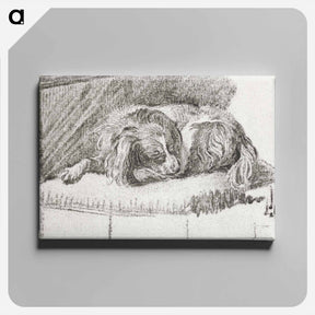 アートパネル-Lying Dog
 - コルネリス プロース ファン アムステル Canvas.