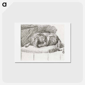 アートポストカード-Lying Dog
 - コルネリス プロース ファン アムステル Postcard.