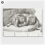 1-35_Cornelis-Ploos-van-Amstel_picture-crop