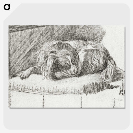 1-35_Cornelis-Ploos-van-Amstel_picture-crop