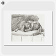 1-35_Cornelis-Ploos-van-Amstel_picture