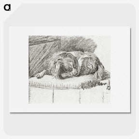 1-35_Cornelis-Ploos-van-Amstel_picture