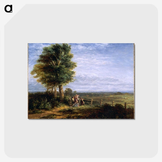 1-35_David-Cox_postcard